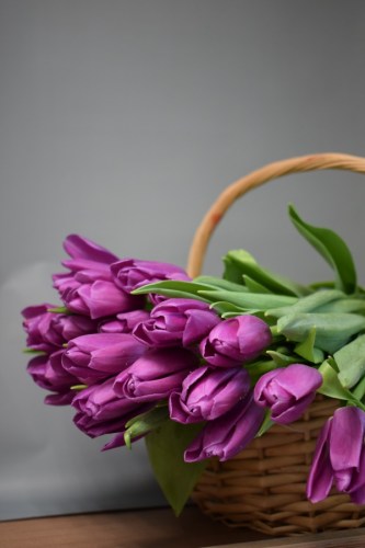 фиолетовый